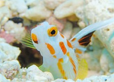 ショップのイメージ画像4