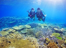 コナンのショップ写真6