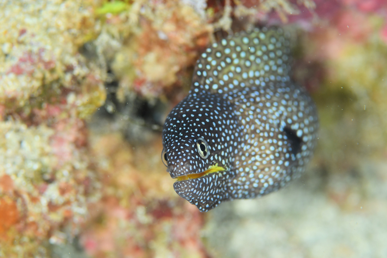 インザストリームのショップ写真7