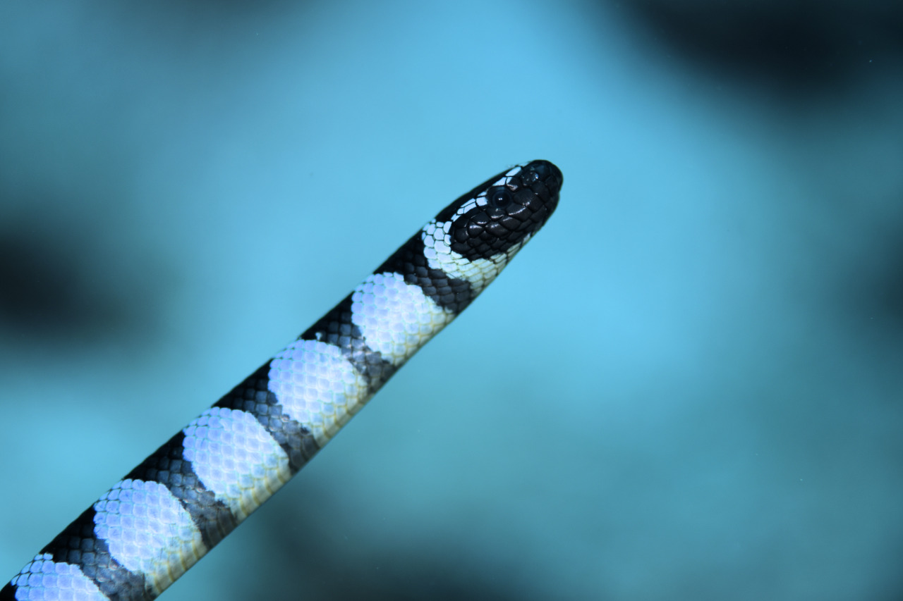 インザストリームのショップ写真8