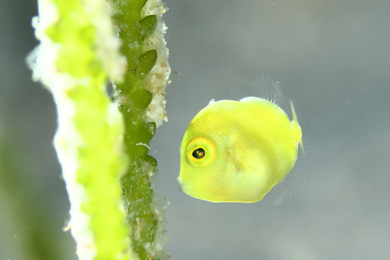 ショップのイメージ画像4