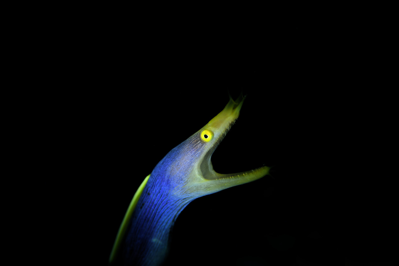 インザストリームのカバー画像1