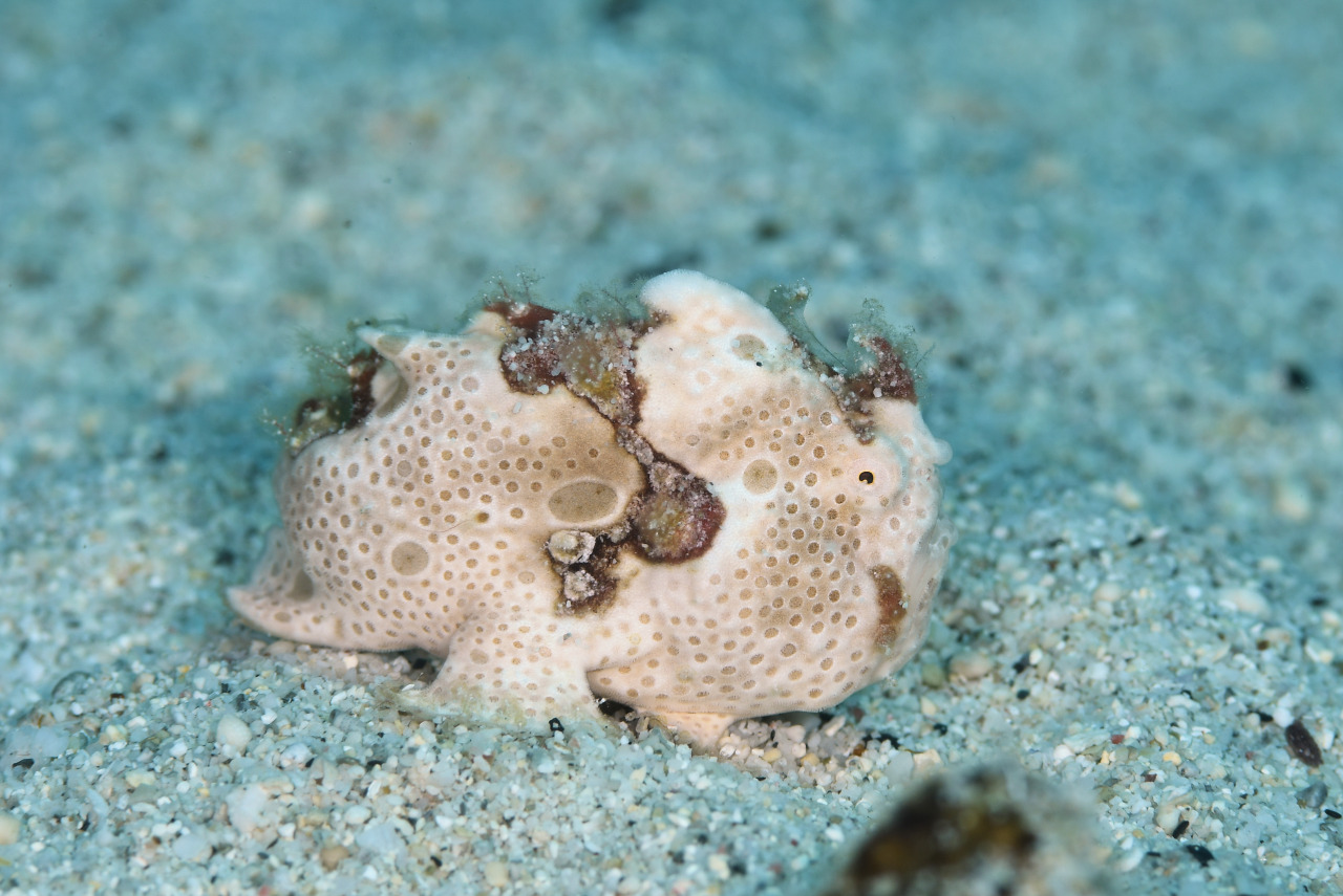 インザストリームのカバー画像2