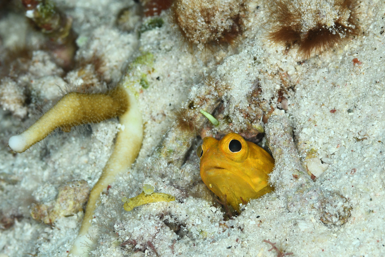 インザストリームのショップ写真6