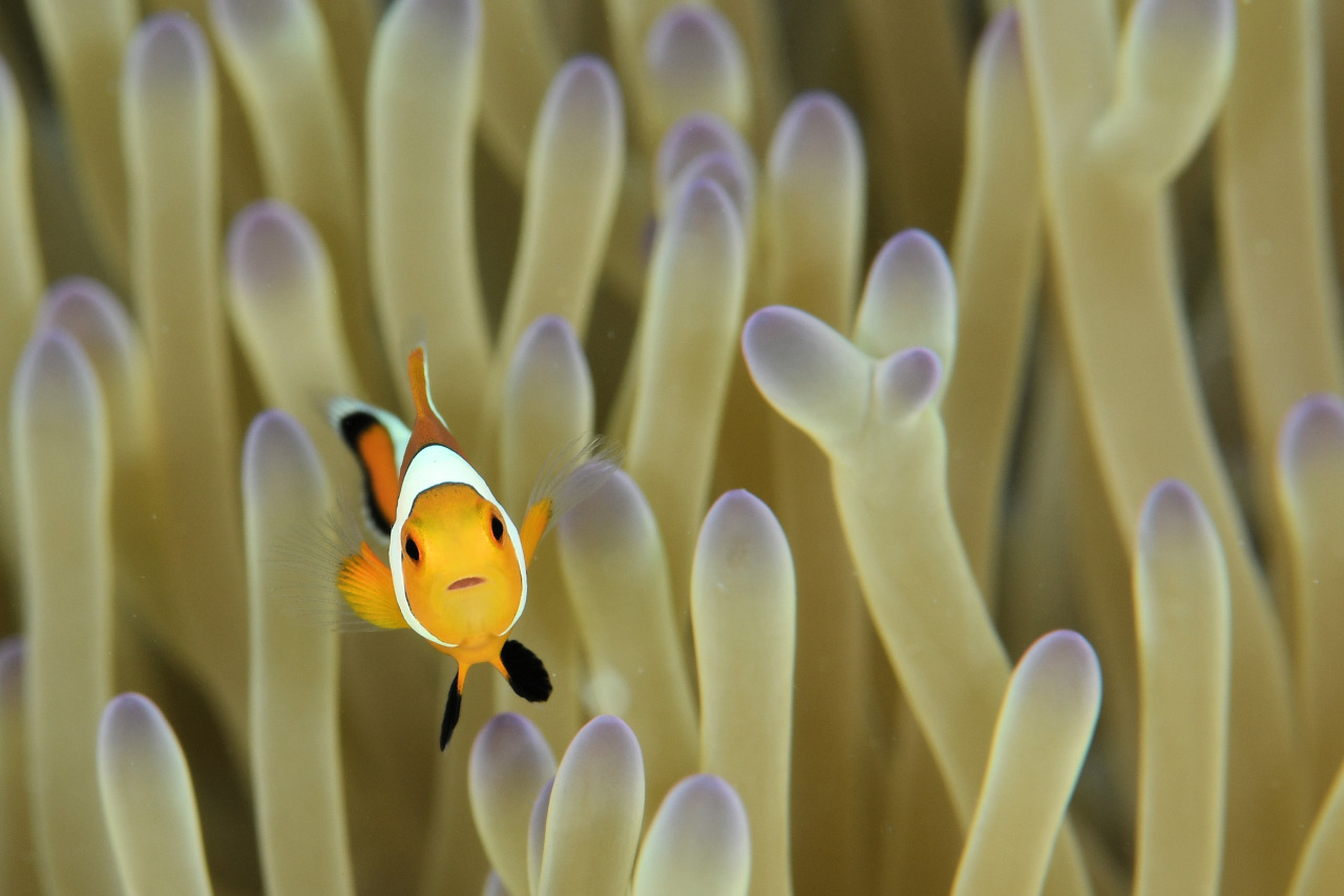 インザストリームのショップ写真9