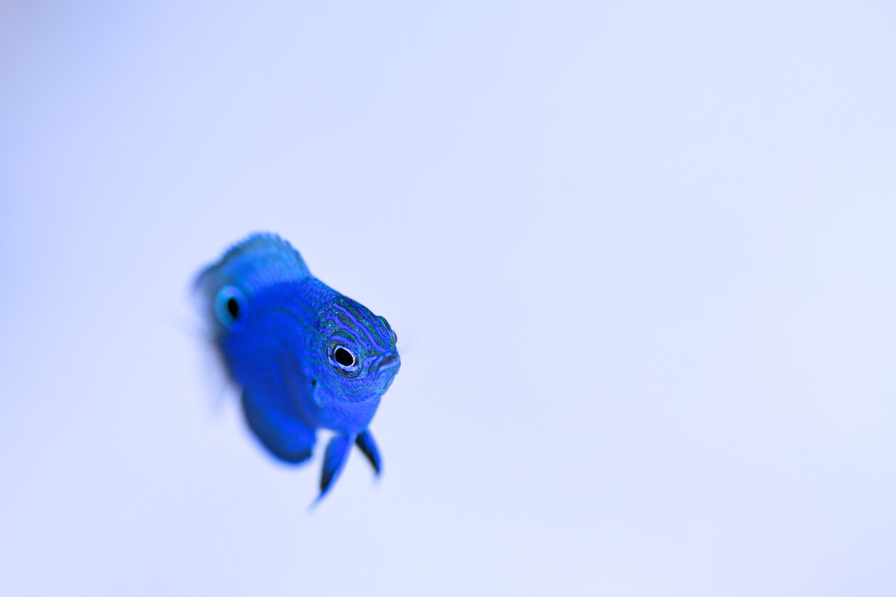 ショップのイメージ画像5