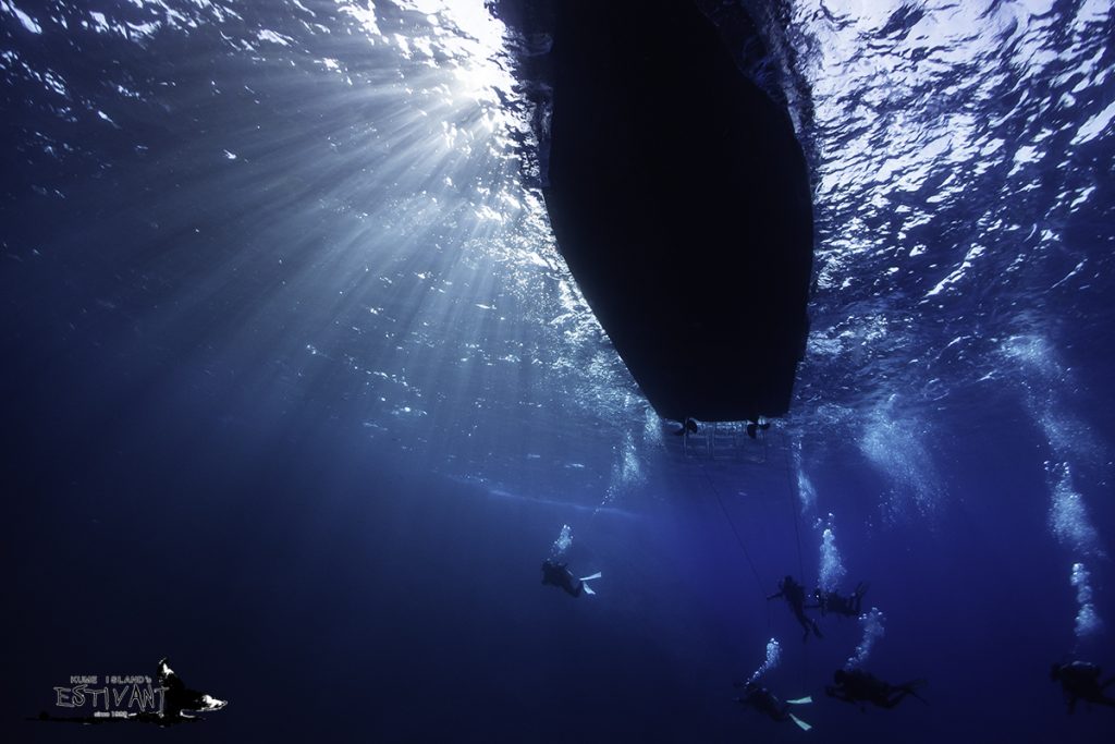 ダイブエスティバンのカバー画像1