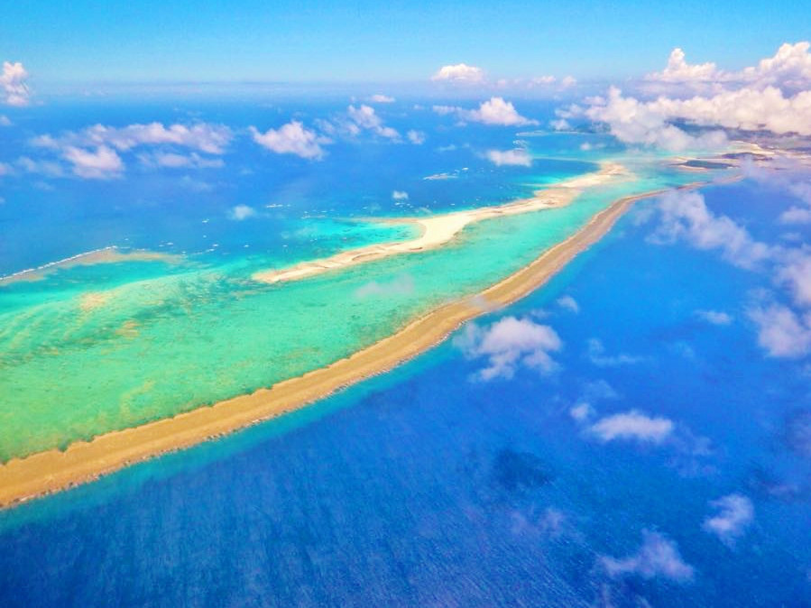 仲里マリンダイビングのカバー画像1