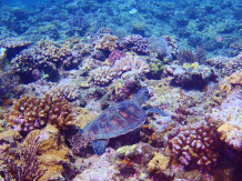 仲里マリンダイビングのショップ写真8