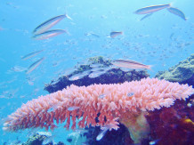 ショップのイメージ画像4