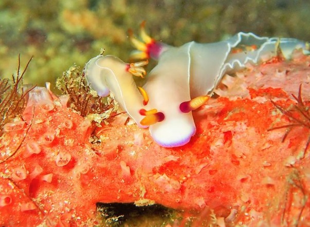 ショップのイメージ画像4