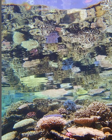 西表ダイビングサービス・トネリコのカバー画像1