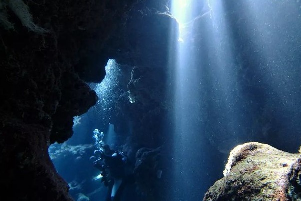 西表ダイビングサービス・トネリコのショップ写真7