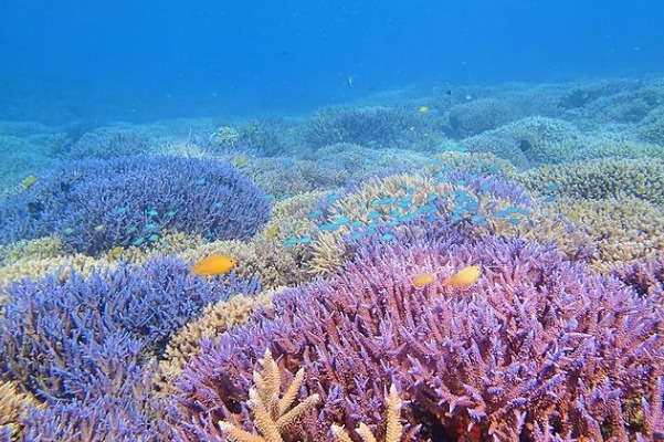 ショップのイメージ画像5