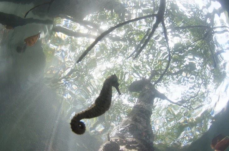 ショップのイメージ画像5