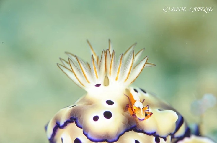 ショップのイメージ画像4