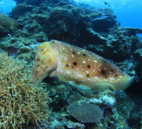 ショップのイメージ画像4