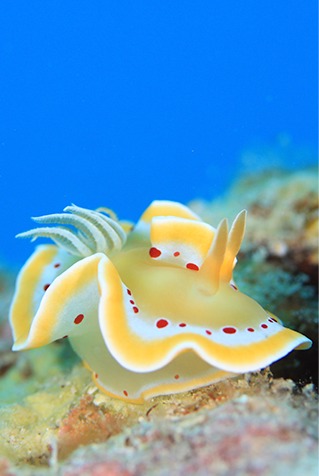 ショップのイメージ画像5