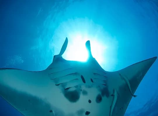 ミスターサカナのショップ写真9