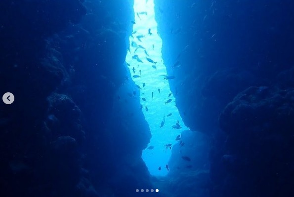 ショップのイメージ画像4