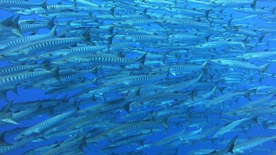 ショップのイメージ画像4