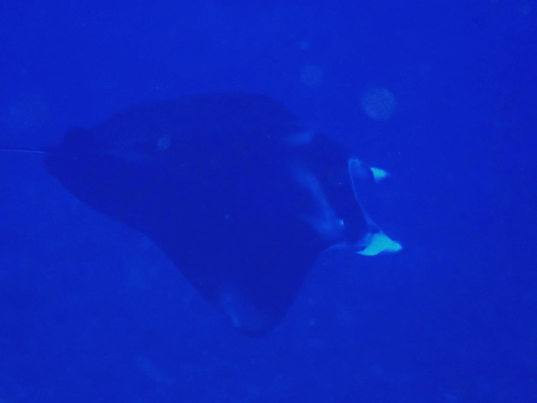 ダイブアンカーのショップ写真6