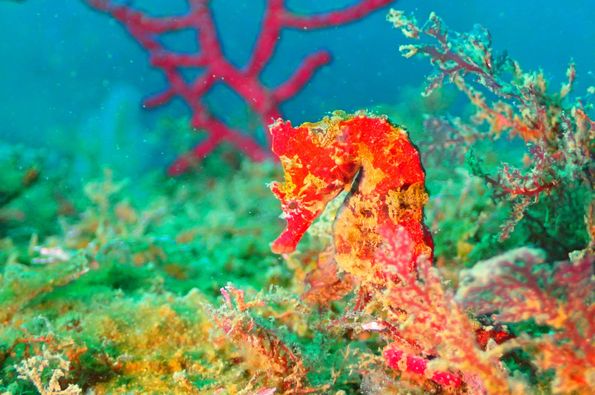 ショップのイメージ画像4