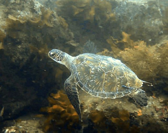 ショップのイメージ画像5