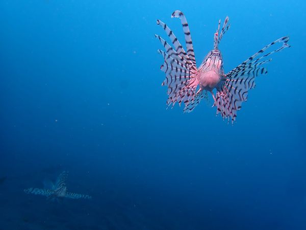 RAGNAのショップ写真8