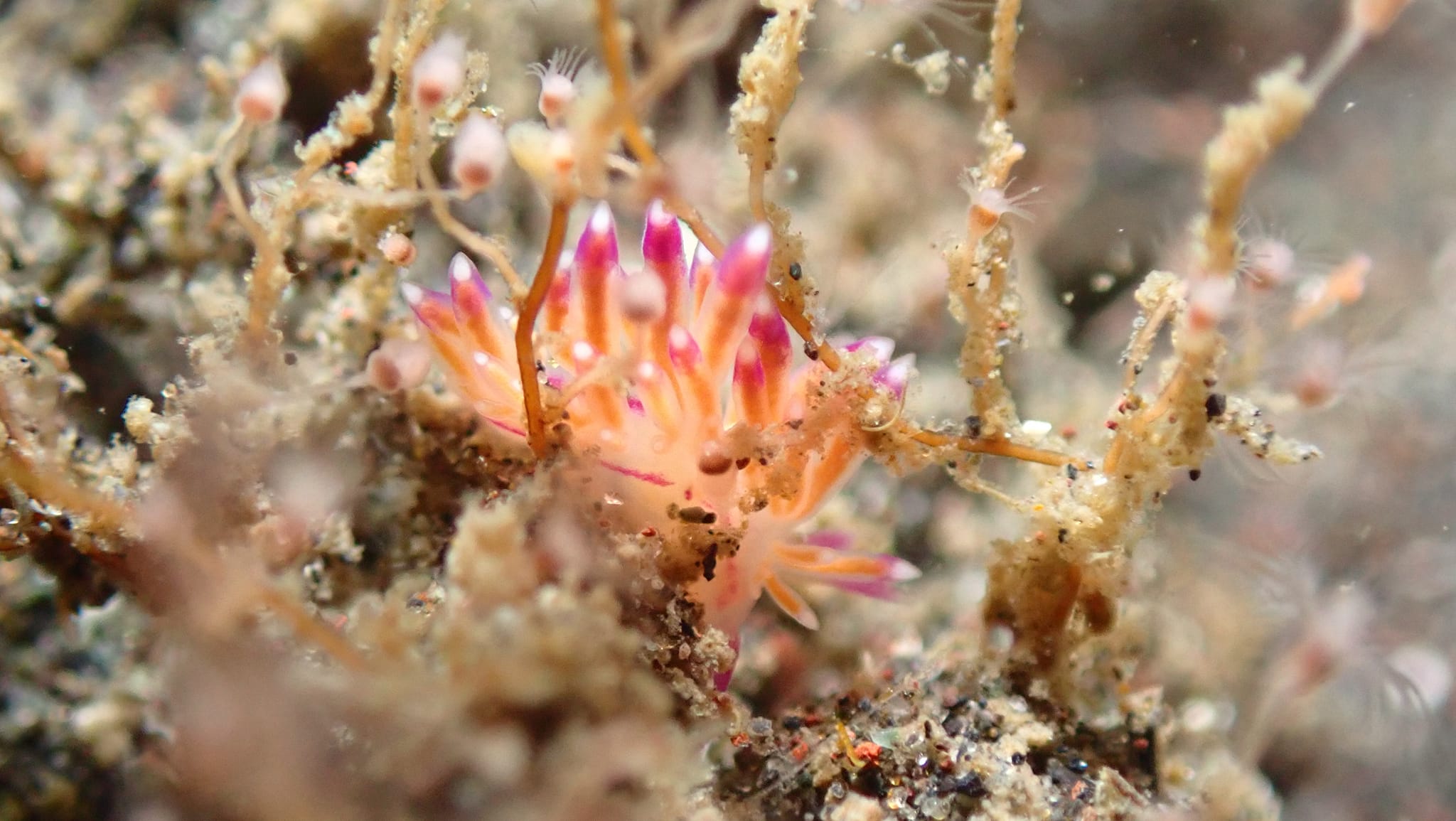 RAGNAのショップ写真6