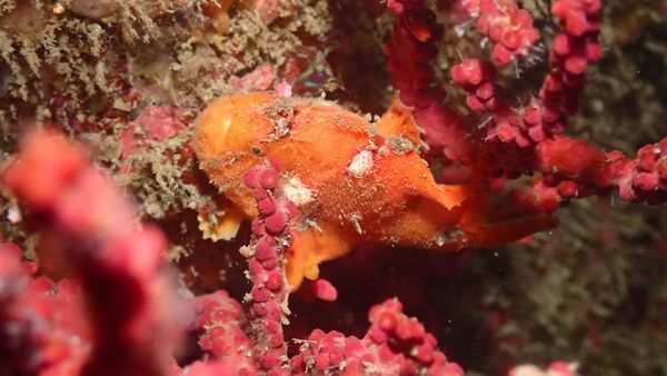 RAGNAのショップ写真7