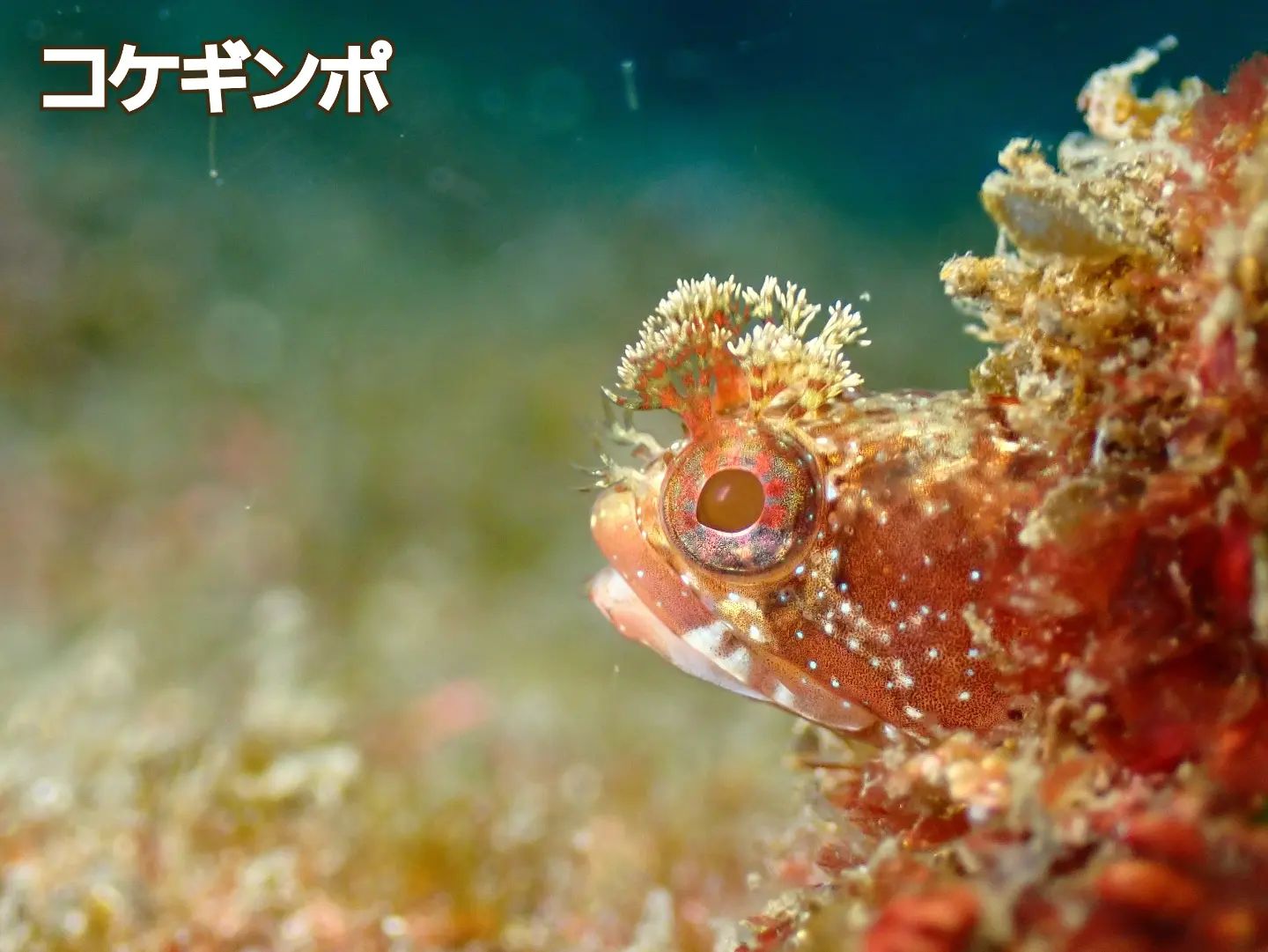 ショップのイメージ画像5