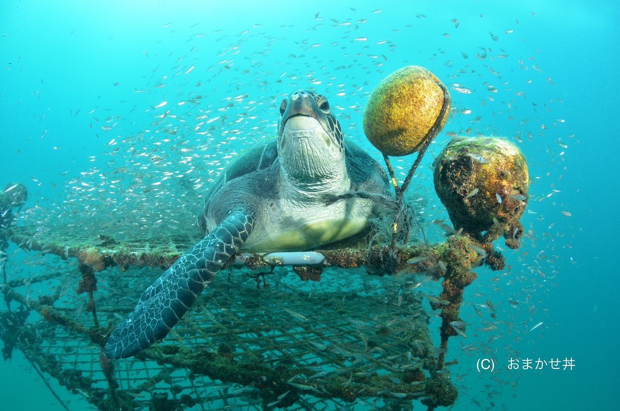 ショップのイメージ画像4