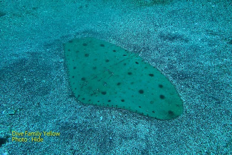 ショップのイメージ画像4