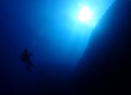 シートラベラーのカバー画像3