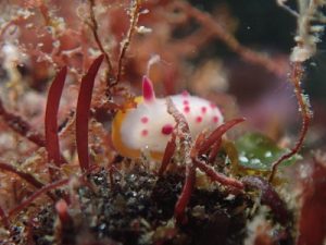 ショップのイメージ画像3