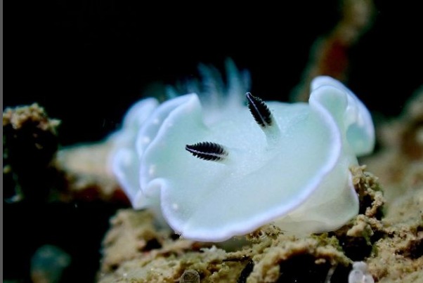 湘南DIVE.comのショップ写真7