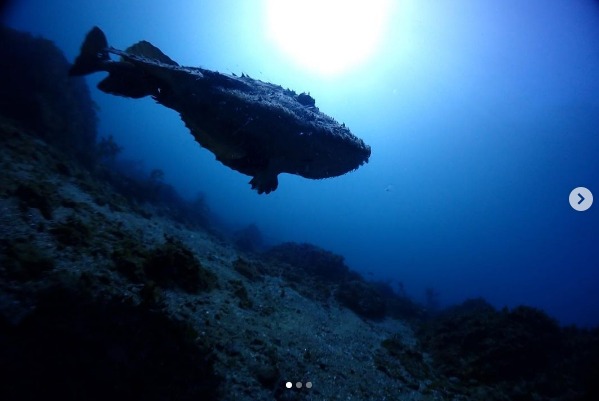 ショップのイメージ画像4