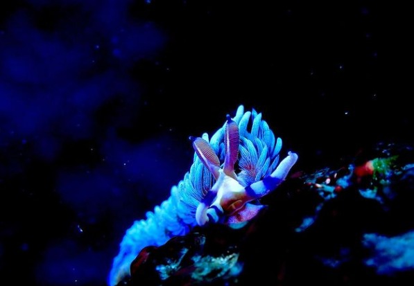 湘南DIVE.comのカバー画像1