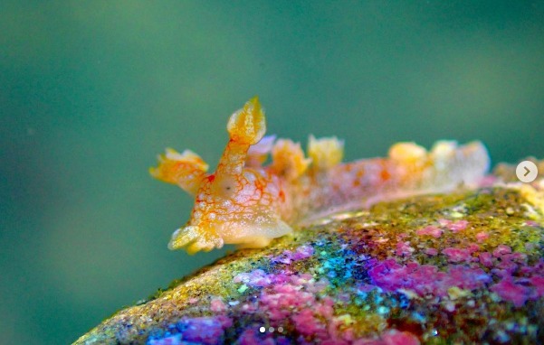 湘南DIVE.comのショップ写真6