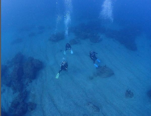 湘南DIVE.comのショップ写真8