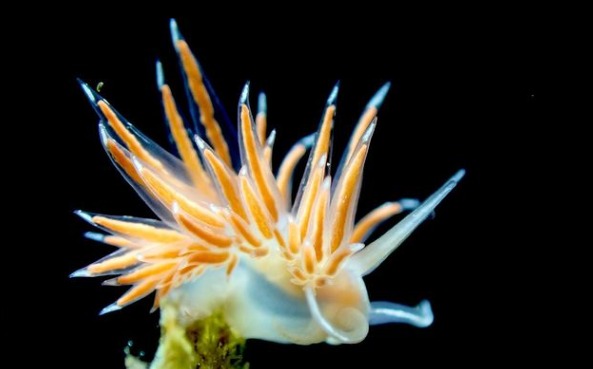 湘南DIVE.comのカバー画像3