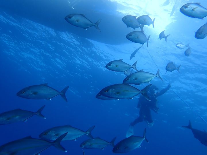 ショップのイメージ画像5