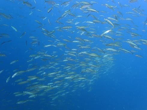 ショップのイメージ画像5