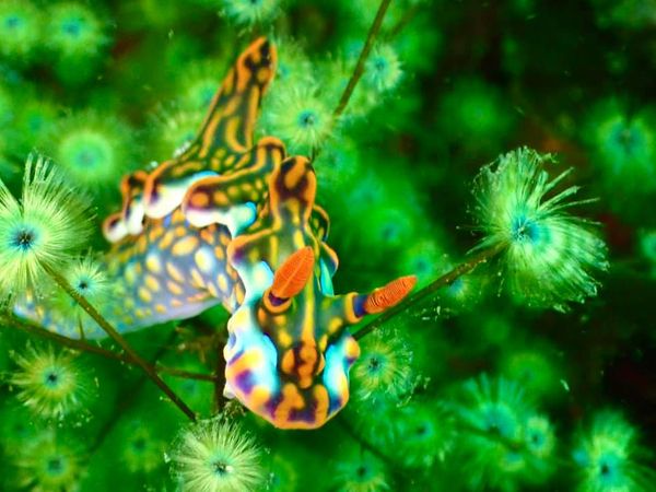 ダイブサプライのショップ写真7