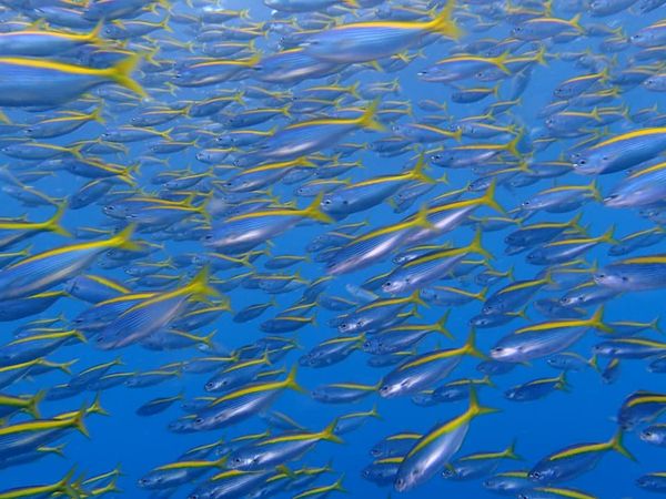 ショップのイメージ画像4