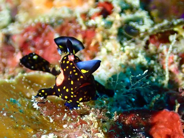 ダイブサプライのショップ写真10