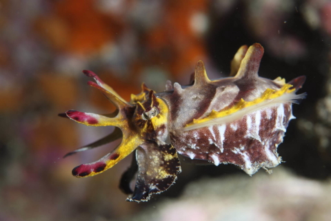 ショップのイメージ画像5