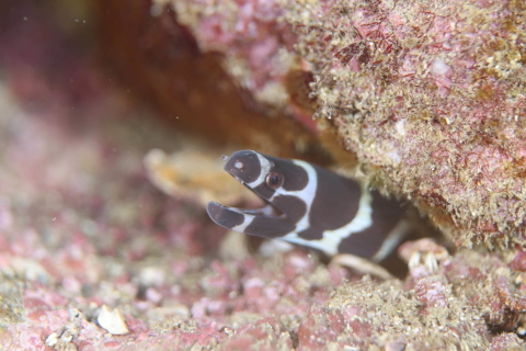 須江ダイビングセンターのショップ写真9