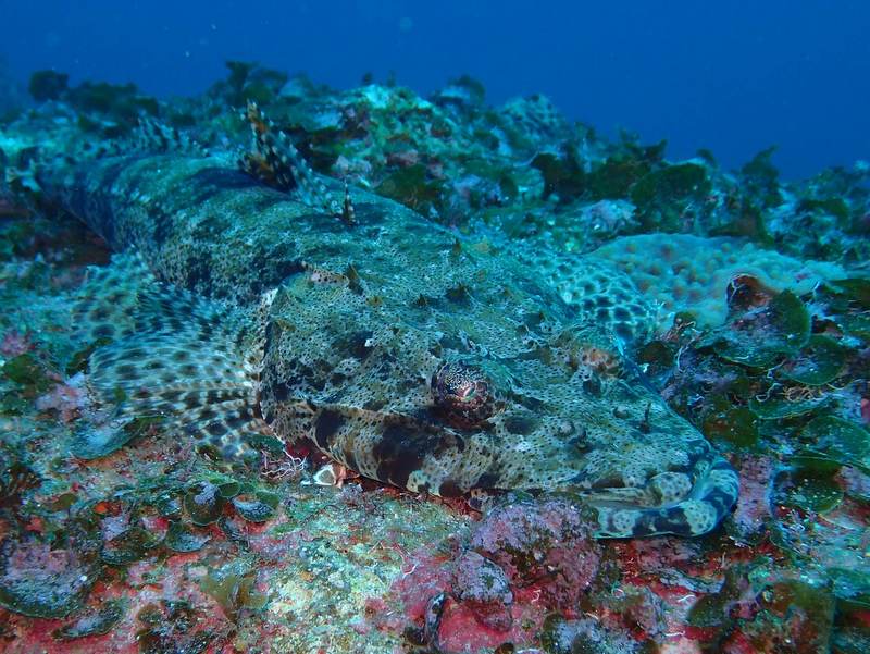 南紀シーマンズクラブのショップ写真10